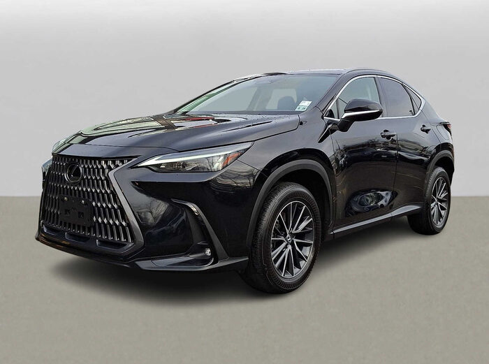 2024 Lexus NX 250