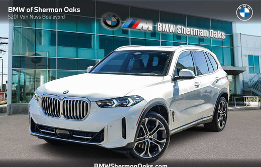 2025 BMW X5