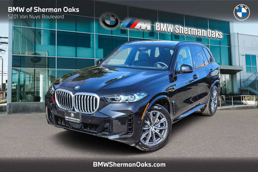 2025 BMW X5