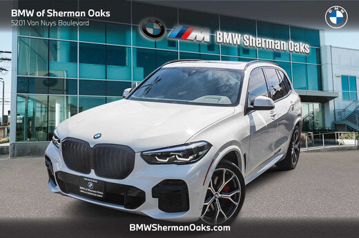 2023 BMW X5