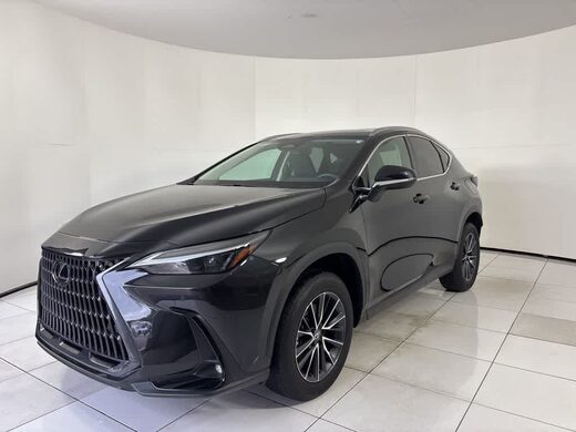 2024 Lexus NX 250