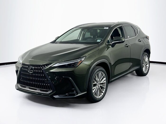 2024 Lexus NX
