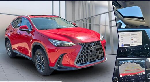 2022 Lexus NX