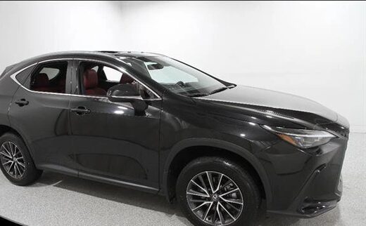 2024 Lexus NX