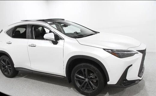 2025 Lexus NX