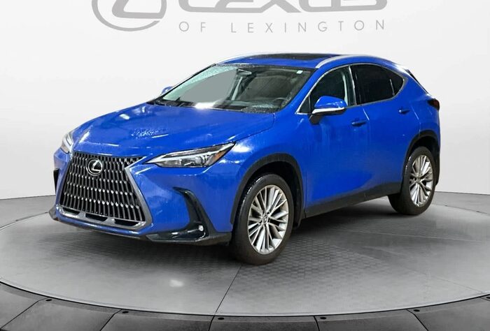 2025 Lexus NX
