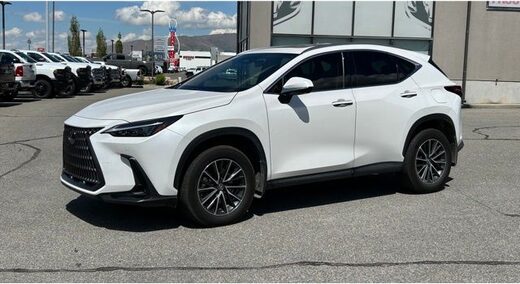 2025 Lexus NX