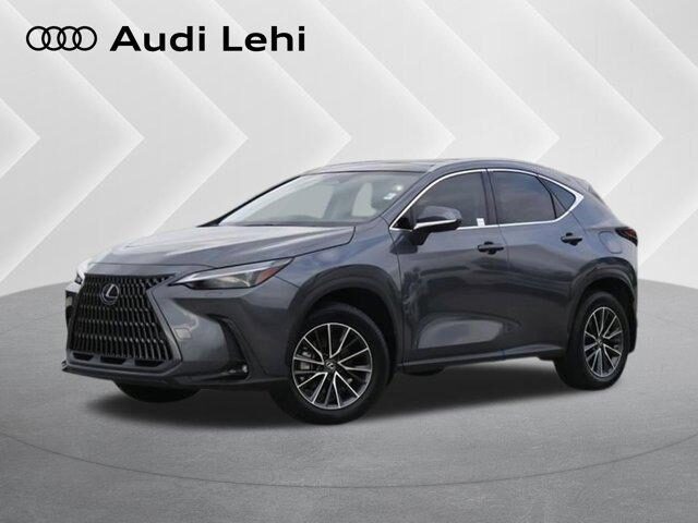 2025 Lexus NX